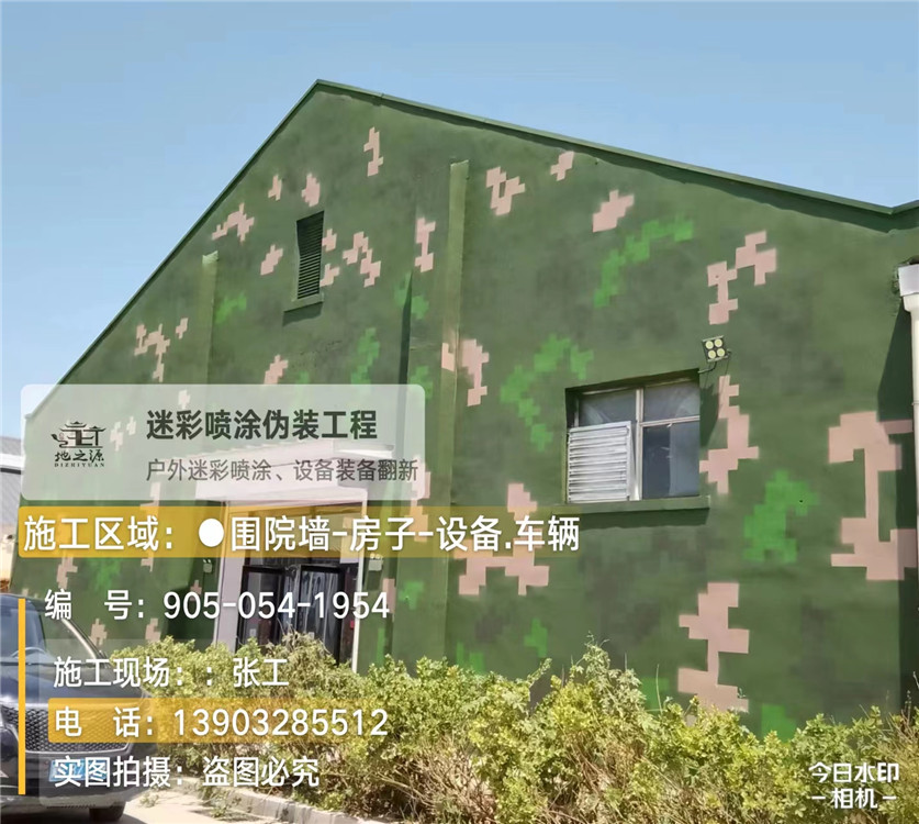 成都外墙数码迷彩漆施工报价清单（100㎡标准墙面测算）